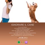 #9 - Ignorare il cane