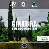 NUESTRO OXÍGENO Ginebra, pueblo mágico y EcoHotel La Floresta - Raúl Nieto