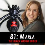 81 - Marla the Black Widow Spider