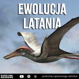 #321 Ewolucja latania, czyli ptasie dinozaury, pterozaury i inni lotnicy  | dr Gerard Gierliński
