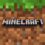 Minecraft: The World of Endless Possibilities