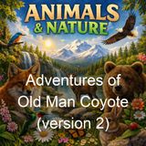 Adventures of Old Man Coyote version 2 - Thornton W Burgess