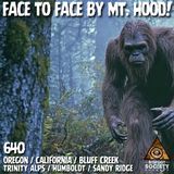 Face to Face by Mt. Hood! | Oregon