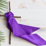 2026-03-15 The Power of Testimony (Fourth Sunday in Lent) / guest Pastor Mike Shutz