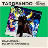 Brasileirices :: Boi Bumbá Caprichoso – el toro negro de estrella azul