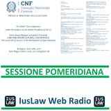 SESSIONE POMERIDIANA - LAW AND INTERCULTURAL COEXISTENCE: the social role of lawyers in the development of legal education