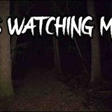 3 TRUE Creepy Forest Horror Stories