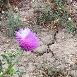 The Facade of Materialism