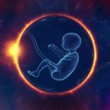 Episode 689 When the Cord is Never Cut