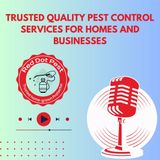 Trusted Quality Pest Control Services for Homes and Businesses