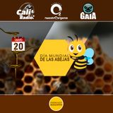 NUESTRO OXÍGENO 20 de mayo - Día mundial de las abejas - Juan Carlos Gómez