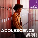 Adolescence : Knowledge et le CDI