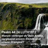 Gott vergisst uns nicht!