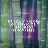 T1E10 - Principio 5 Utiliza y valora los servicios y recursos renovables
