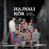 DUCKSHELL: Elképesztően kreatív és szerethető közönségünk van | Park FM – Hajnali Kör