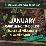 🎧 🌱 January Gardening To-Do List | Essential Allotment & Garden Jobs