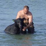 1269. Our Hero Saved A Drowning Bear - 5 Must Know Things About Your Dog