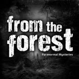 387: From The Forest, Ch16: Piles of Flesh, Predator in Tennessee & a Quiet Place