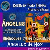 Angelus del día de hoy Miércoles 24 de Diciembre 2025  🌹Oracion diaria a la Virgen María 🙏