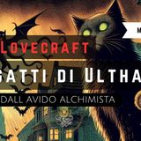 🐈i gatti di Ulthar🐈