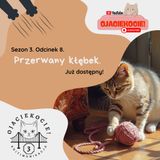 S3E8 - Przerwany kłębek.