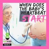 When does baby's heartbeat start?