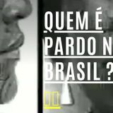 QUEM É PARDO NO BRASIL ? 🇧🇷 Lívia Zaruty  Etnia Brasileira