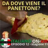 Da dove viene il panettone? Ep. 12 (stagione 11)
