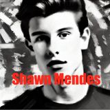 Shawn Mendes - From Vine Star to Global Pop Sensation