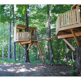 MyFixitUpLife Show: Plant a tree, Build a Treehouse