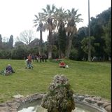 #roma Cultura gratis