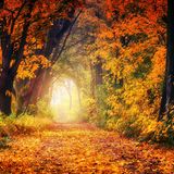 Heart Leadership: Inner Peace