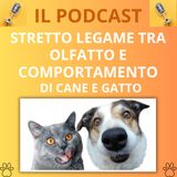 16_Olfatto e comportamento di cane e gatto: in stretto collegamento