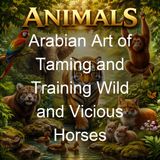 Arabian Art of Taming and Training Wild and Vicious Horses - P R Kincaid John J Stutzman