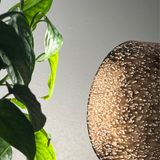 Episode 291 - Nobody puts baby in a corner - grow light edition!