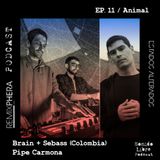 EP. 11 / Animal  – Brain + Sebass (Colombia)