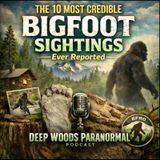 The 10 Most Credible Bigfoot Sightings Ever Reported