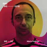 SMDWS18 - Mario Fedriga
