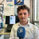 Alberto Barausse, docente del Dip. Biologia dell’Università di Padova - Radio Wellness
