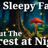 The Most Relaxing Facts About The Forest At Night to Fall Asleep To