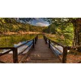 La Foresta Umbra da «Pellegrino di Puglia» di Cesare Brandi