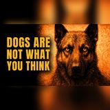Edgar Cayce’s 100-Year-Old Dog Prophecy Is Unfolding Right Now