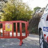 Noticias del sector: En Clave Rural: 16 nuevos casos de peste porcina en jabalíes catalanes