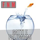 Gatti e falegnami