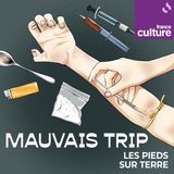 Mauvais trip : Quand tu commences à triper : histoires de défonces