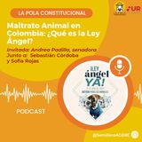 Maltrato Animal en Colombia - ¿Qué es la Ley Ángel? Junto a Andrea Padilla