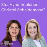 Så... Hvad er planen Christel Schaldemose?