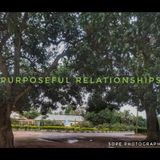 Episode 7 - Purposeful Relationships