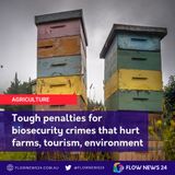 Tough new biosecurity penalties for putting Australian farm, tourism and environment at risk