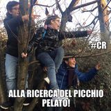 #cr Un picchio vandalo?!